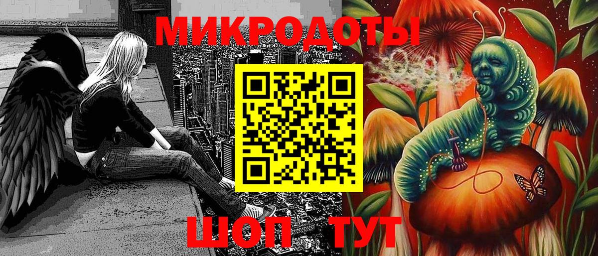 Псилоцибиновые грибы Psilocybe Соль-Илецк