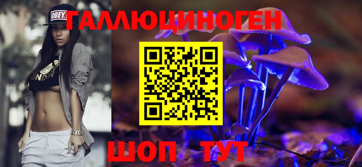 Соль-Илецк  Галлюциногенные грибы GOLDEN TEACHER  Вход с VPN 